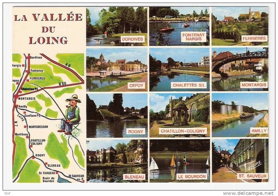 Carte De La VALLEE Du LOING (Loiret, Yonne ) De Dordives à St-Sauveur-en-Puisaye; Multivues ; TB - Centre-Val De Loire