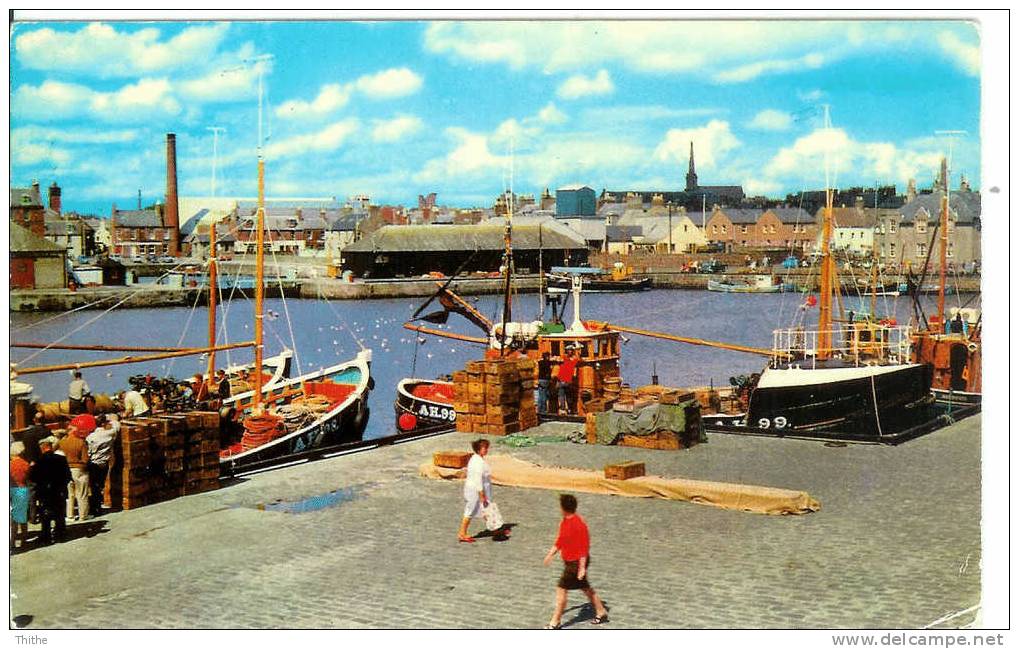 ARBROATH Harbour - Angus