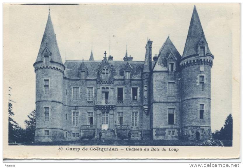Coetquidan   Chateau Du Bois Du Loup           Autre Vue - Guer Coetquidan