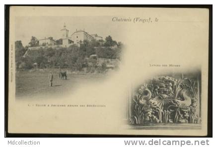 88 CHATENOIS Eglise Et Ancienne Abbaye Des Bénédictins, Lavabo Des Moines - Chatenois