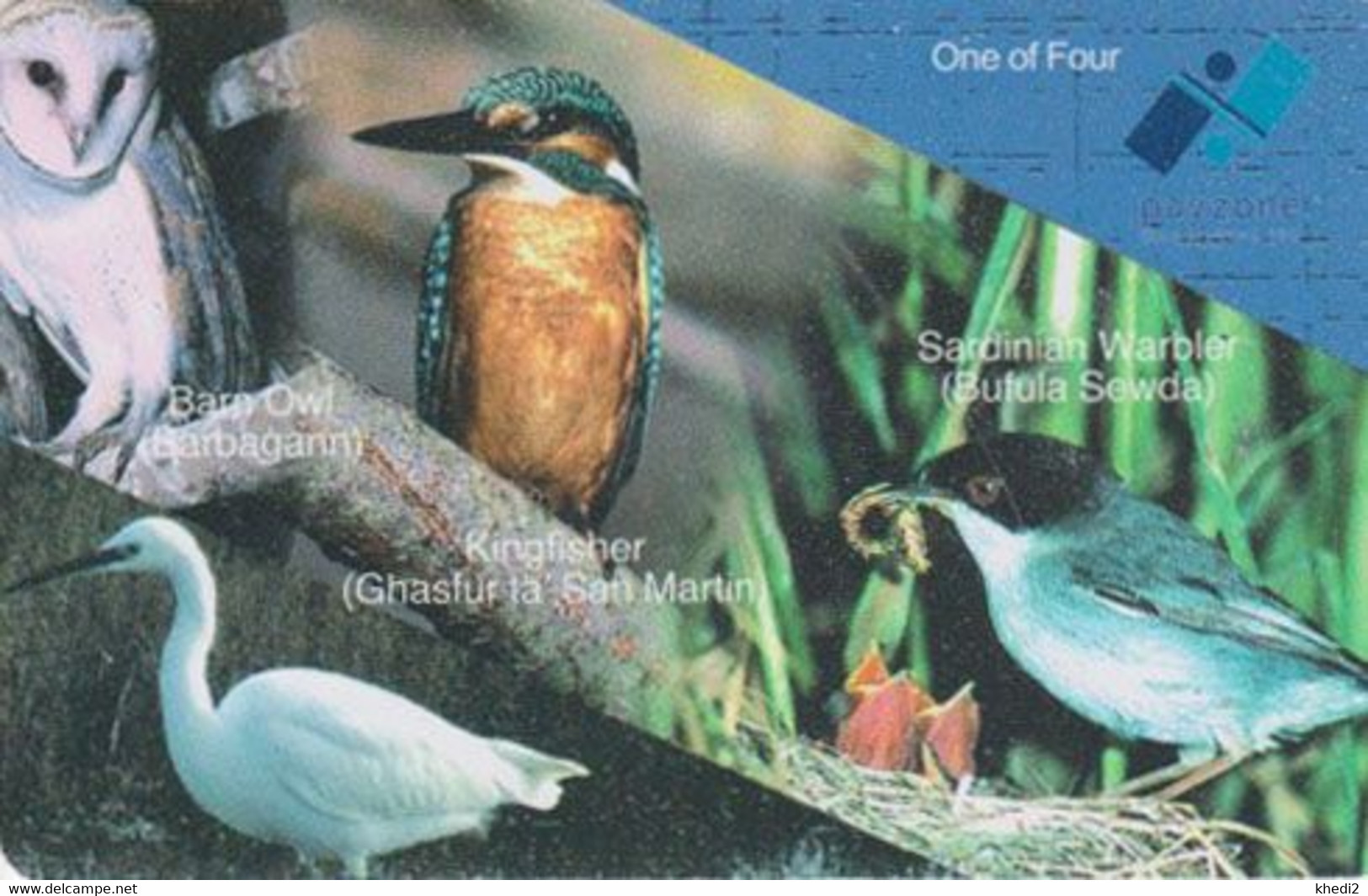 TC Puce MALTE - ANIMAL - Vautour Hibou Martin Pêcheur - Owl Vulture Kingfisher - Raptor Bird Chip Phonecard - Eagle 66 - Malte