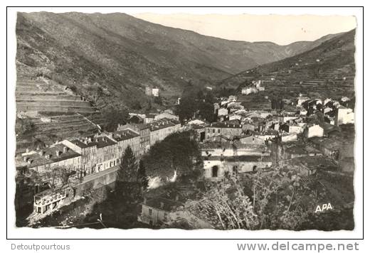 VALLERAUGUE Mont Aigoual Vue Générale 1959 - Valleraugue