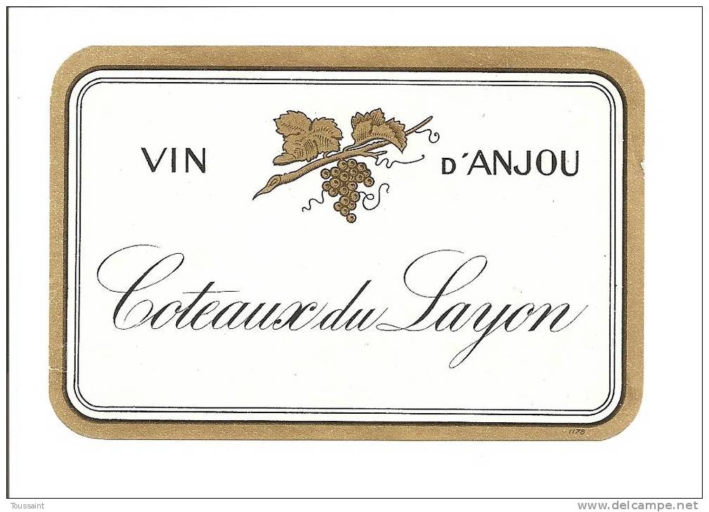 Etiquette De Vin: Vin D' Anjou, Coteaux De Layon (08-2406) - Autres & Non Classés