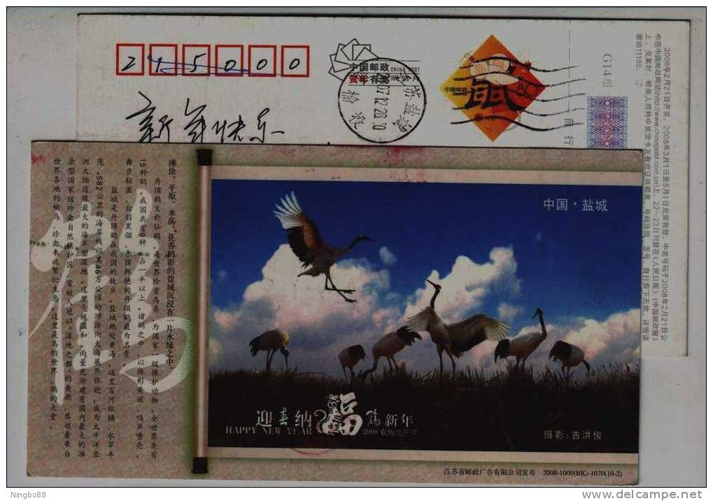 Red Crowned Crane Bird,China 2008 Yancheng National Nature Reserve Advertising Pre-stamped Card - Kranichvögel