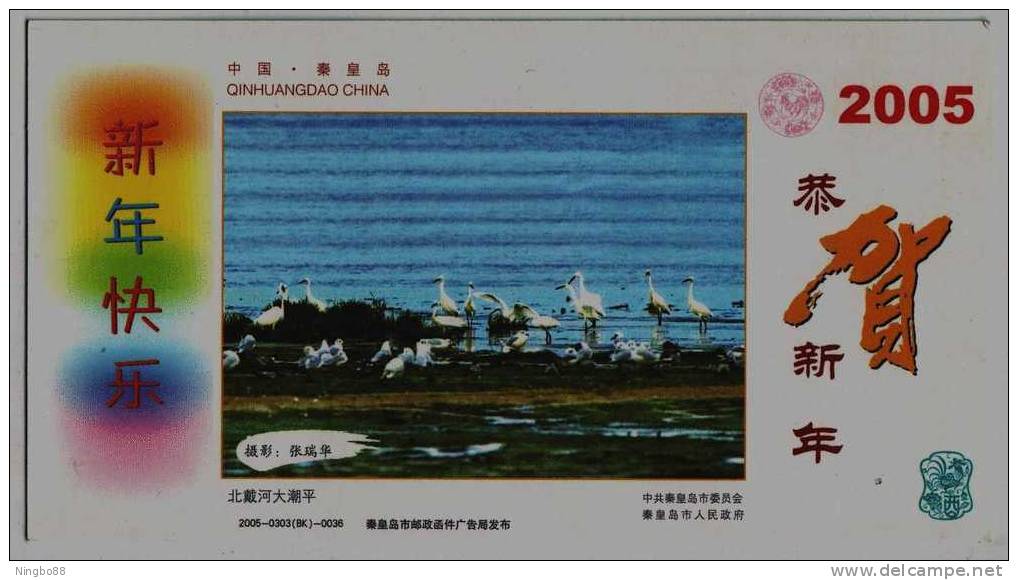 Seashore Wetland,Best Bird Watching Site,Seagull,Logo Of Elephant,CN05 Qinhuangdao Landscape Advert Pre-stamped Card - Mouettes