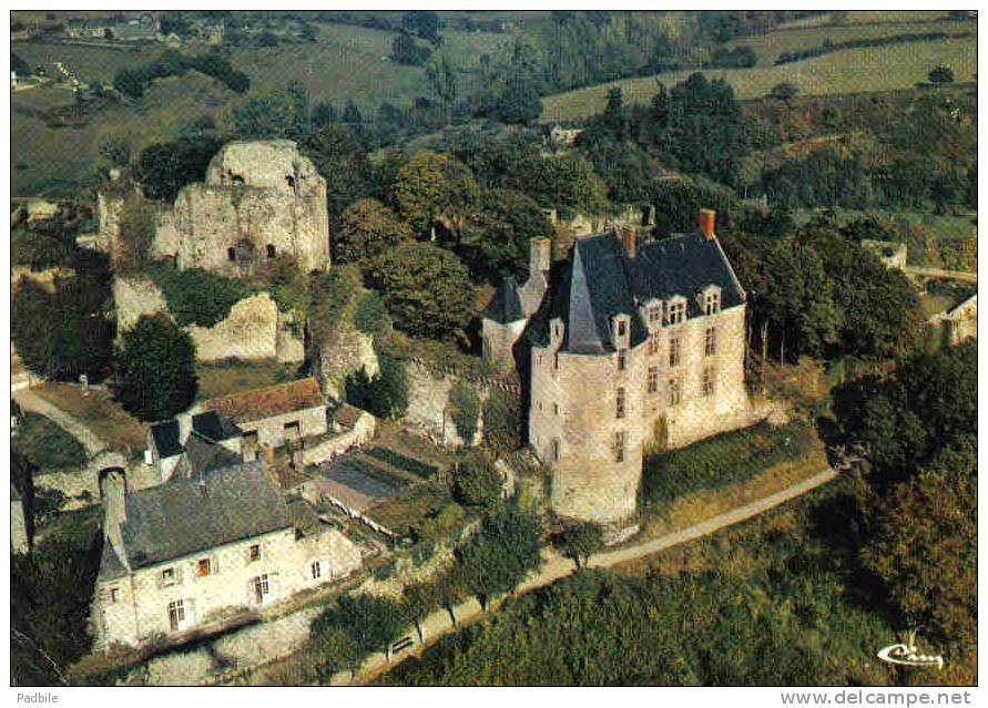 Carte Postale 53.  Sainte-Suzanne  Le Chateau Et Ses Remparts Trés Beau Plan - Sainte Suzanne