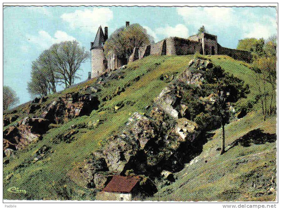 Carte Postale 53.  Sainte-Suzanne  Le Chateau Et Ses Remparts Trés Beau Plan - Sainte Suzanne