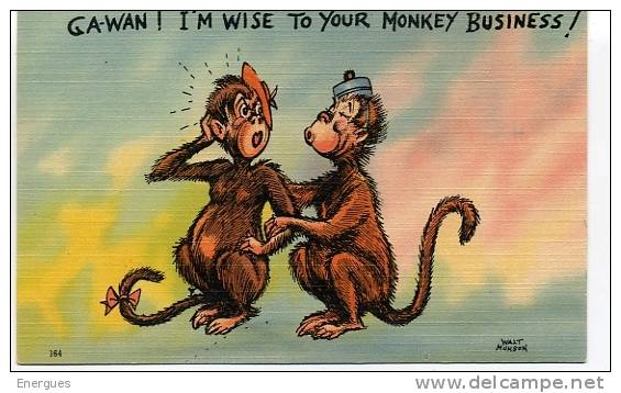 Singes, Caricature, Walt Munson,anglais, U.S.A. - Monkeys