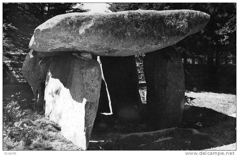 22    TREBEURDEN   LE DOLMEN   CPSM    Edit  STOLL - Trébeurden