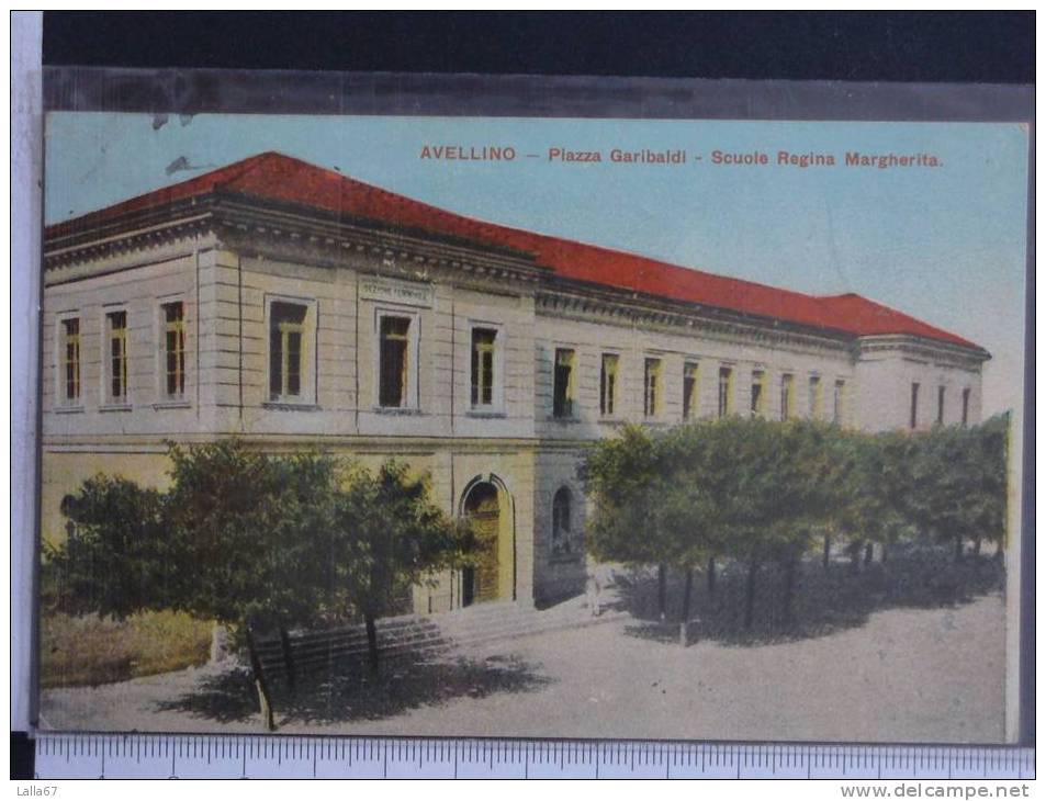 CAMPANIA - AVELLINO - SCUOLA REGINA MARGHERITA N. 2462 - Avellino