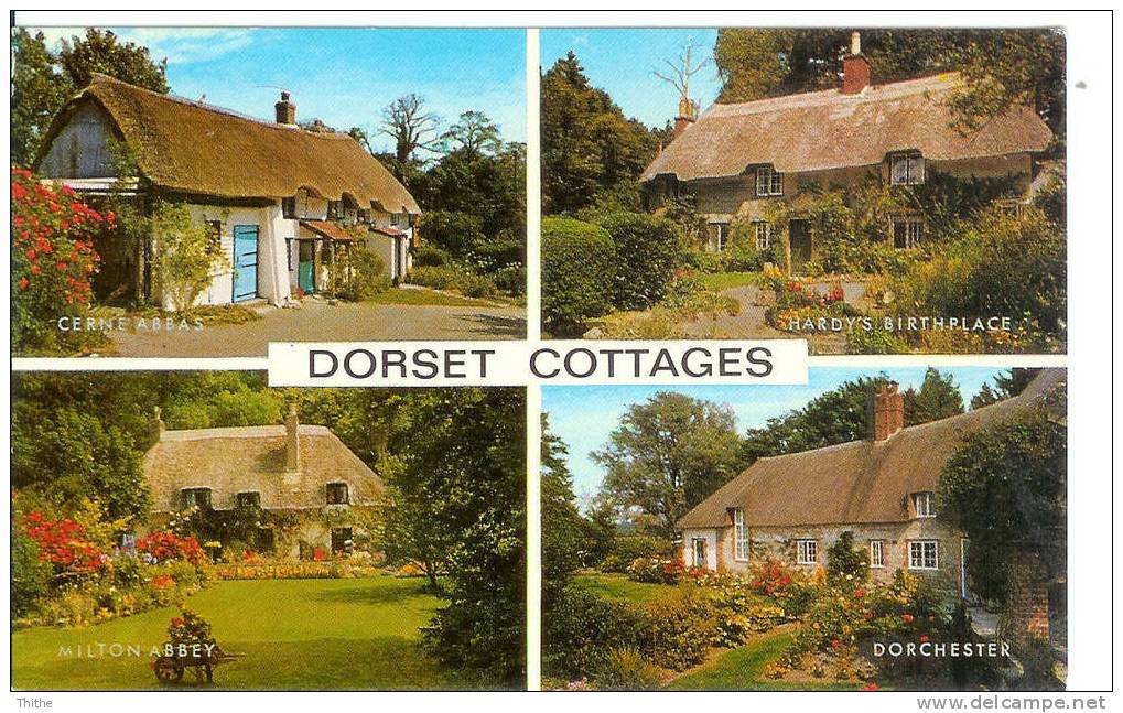 Dorset Cottages - Other & Unclassified