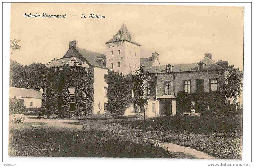 C6228 - Vielsalm-Hermamont - Le Château - Vielsalm