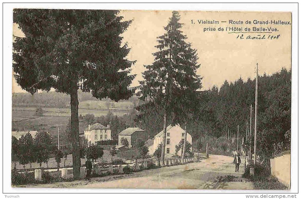 C6230 - Vielsalm - Route De Grand-Halleux, Prise De L' Hôtel De Belle-Vue - Vielsalm