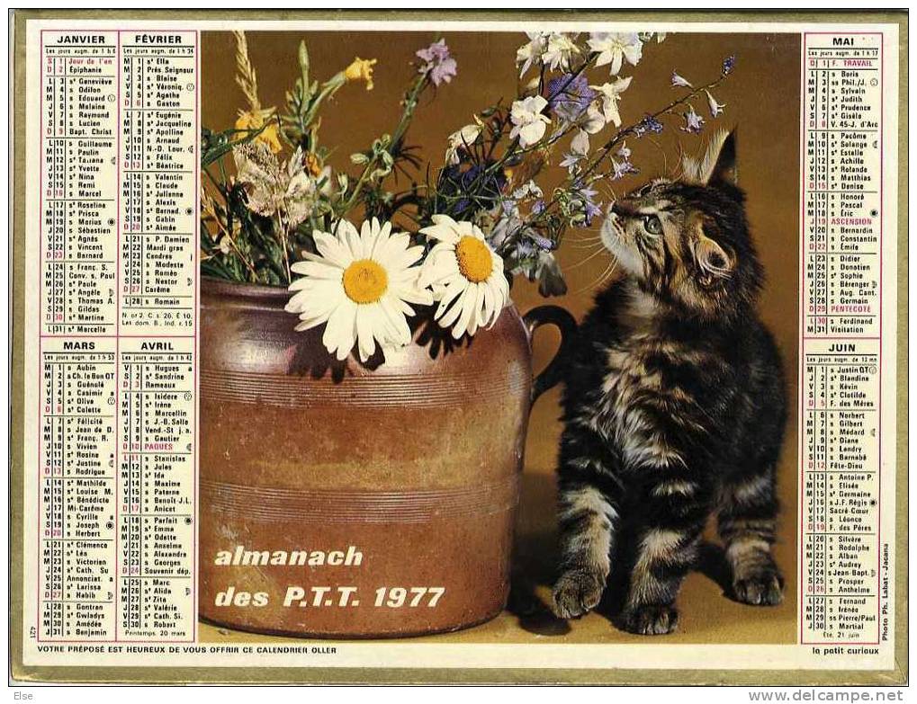 CALENDRIER ORIGINAL ANNEE 1977  -  CHAT &  CHIEN  -  PAGES DU DEPARTEMENT 63 - Formato Grande : 1971-80