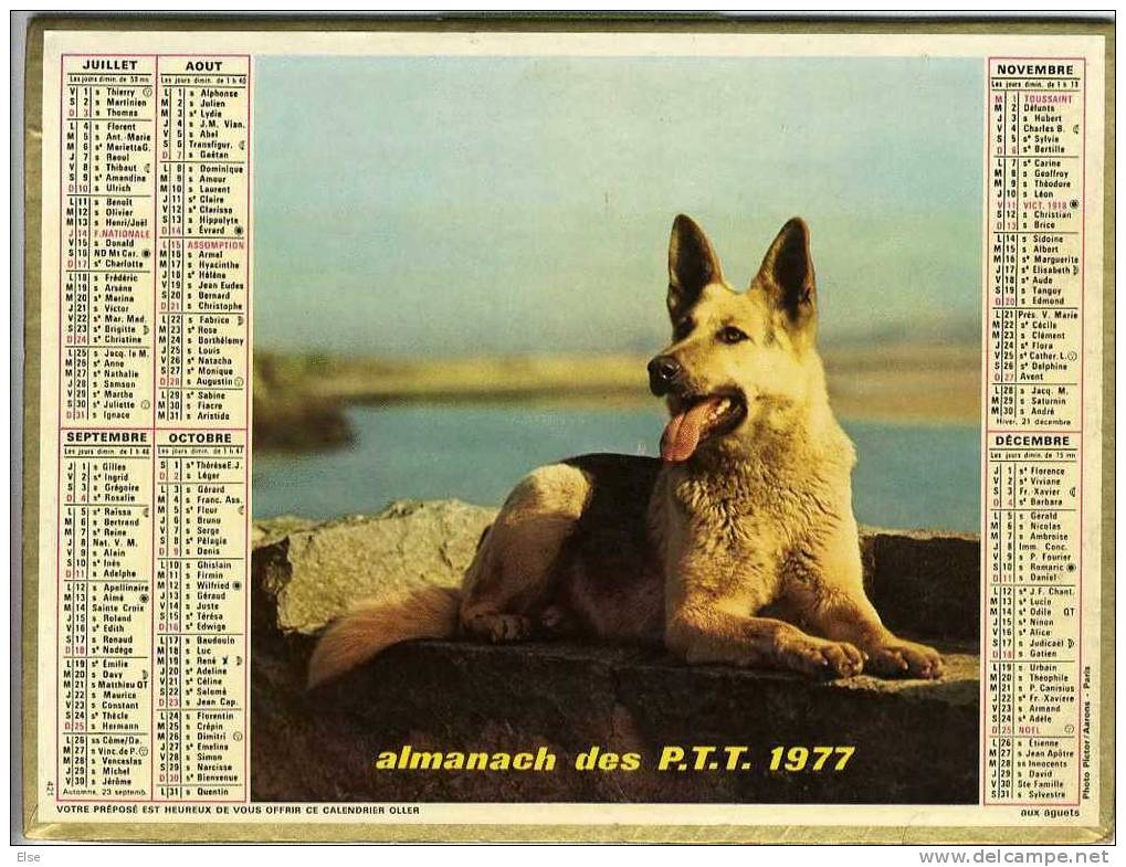 CALENDRIER ORIGINAL ANNEE 1977  -  CHAT &  CHIEN  -  PAGES DU DEPARTEMENT 63 - Big : 1971-80