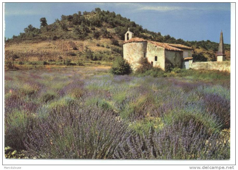 La Provence Embaumée. Champ De Lavande. Cachet: Bormes-les-Mimosas, Var. - Culturas