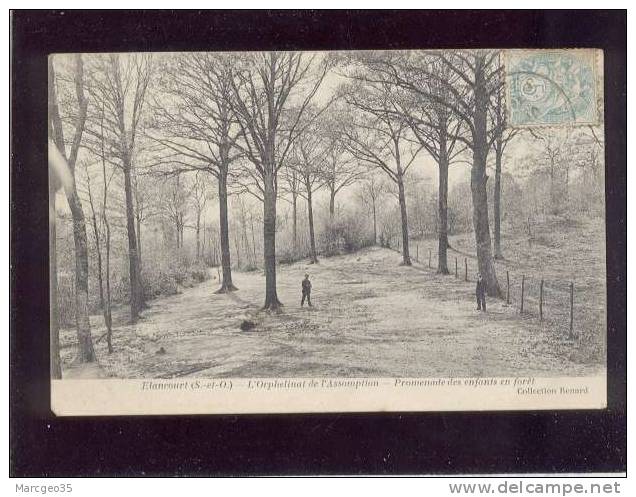 Elancourt L'orphelinat De L'assomption Promenade Des Enfants En Forêt édit.renard Belle Carte - Elancourt