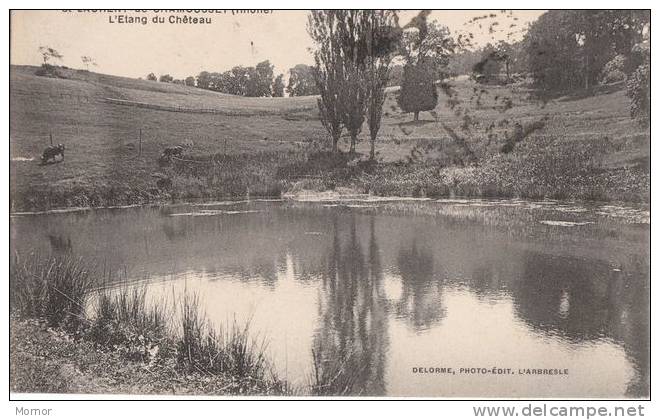 SAINT-LAURENT-de-CHAMOUSSET L'Etang Du Château - Saint-Laurent-de-Chamousset