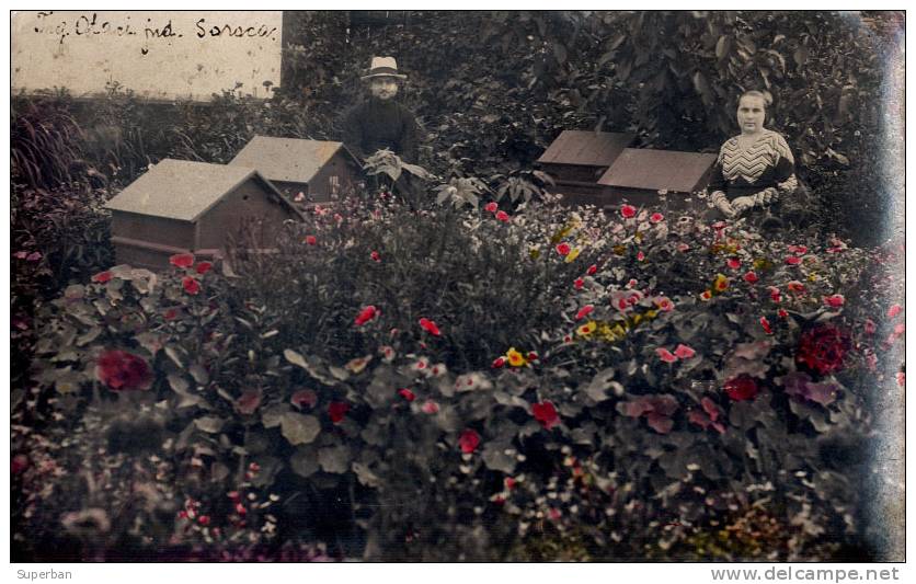 BASARABIA : OTACI / SOROCA - RUCHES - ÉLEVEURS D´ ABEILLES Dans JARDIN - CARTE ´VRAIE PHOTO´ - ANNÉE: 1933 (b-147) - Moldavie