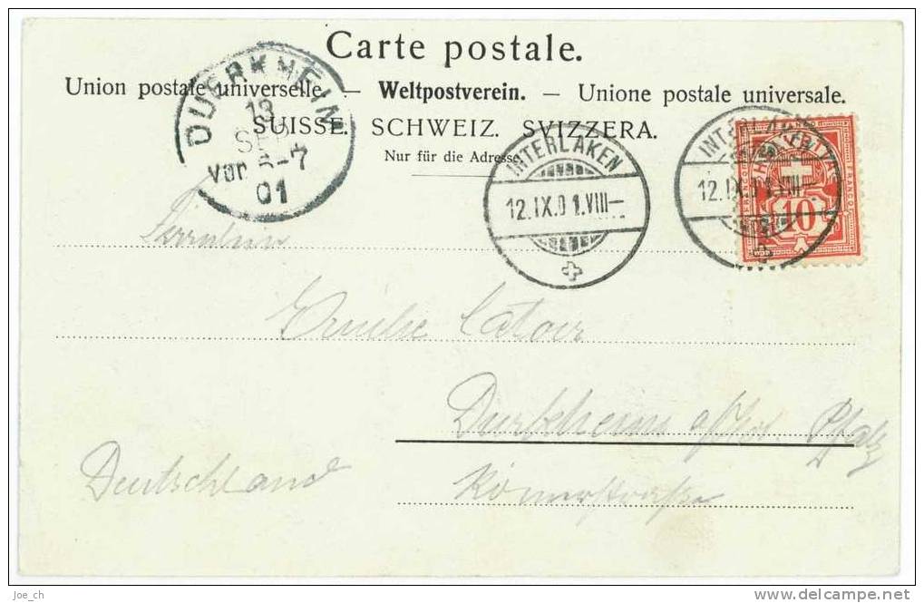 Schweiz/Suisse:  S/w-AK Grindelwald 1901, 2 Scans - Grindelwald