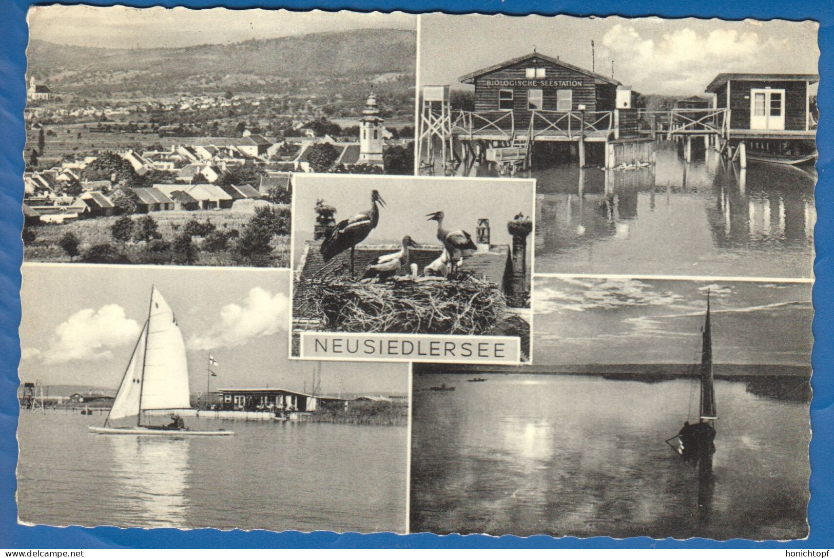 Österreich; Neusiedlersee; Neusiedler Am See; Stempel Podersdorf 1952 - Neusiedlerseeorte