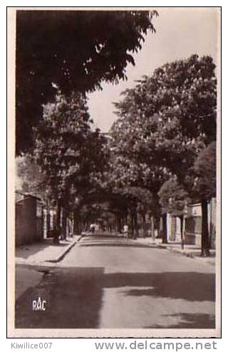 Chef-boutonne    Avenue De Javarzay  CPSM           1951 - Chef Boutonne