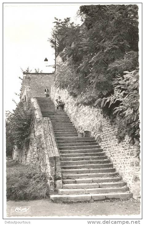 PITHIVIERS Escalier De La Poterne 1962 ( Animée ) - Pithiviers