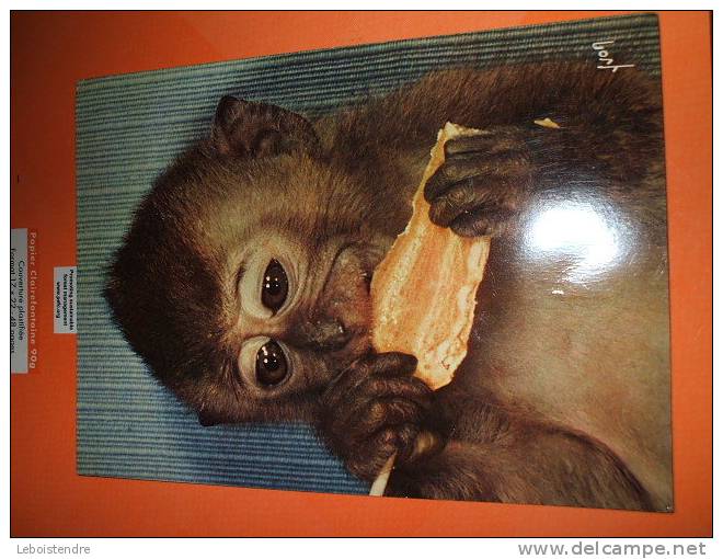 CPM OU CPSM 1963- THEMES ANIMAUX:SINGES N°8-SINGES ET SINGERIES - Scimmie