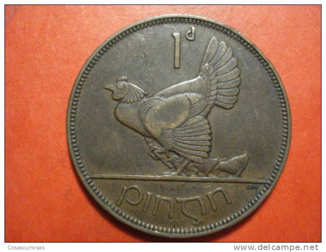 2680 IRELAND EIRE IRLANDA  1 PENNY  GALLINA POULE ANIMAL      AÑO / YEAR  1931  VF+ - Ierland