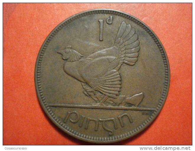 2688  IRELAND EIRE IRLANDA  1 PENNY  GALLINA POULE ANIMAL      AÑO / YEAR  1928  XF - Irland