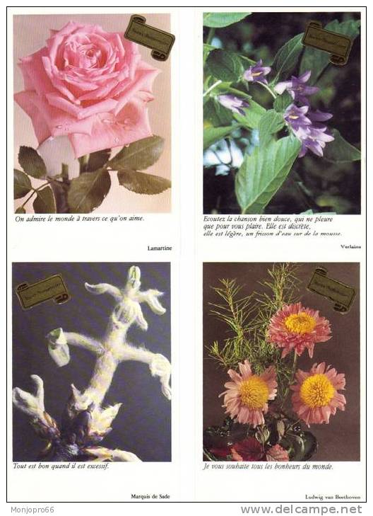 Lot N° 101 De 17 CPM De Fleurs, Divers Proverbes Et Joyeuse Anniversaire - 5 - 99 Postales