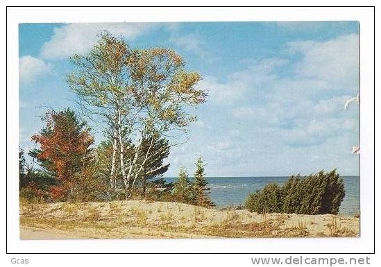 Michigan's Great Lakes Shoreline - Other & Unclassified