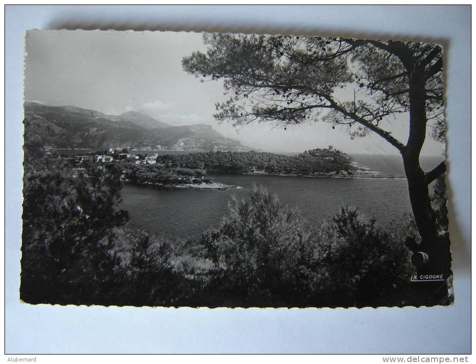 Vue Sur St Hospice . C.p. Photo 14x9 - Saint-Jean-Cap-Ferrat