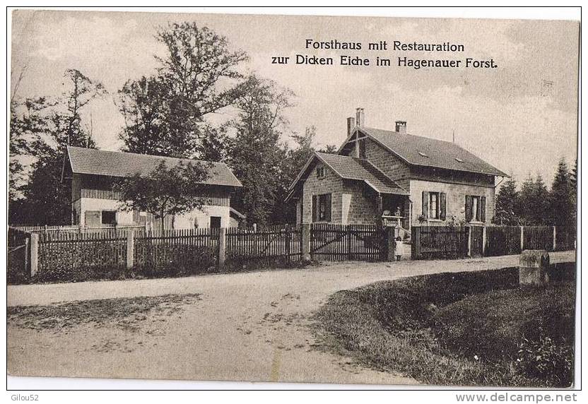 67 -- Forsthaus (Maison Forestière) Mit Restauration Zur Dicken Eiche Im Hagenauer Wald - Haguenau