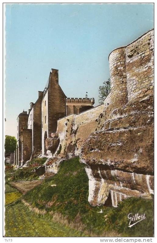 CpE2856 - PONS - Les Remparts Et L'ancien Chateau Des Sires De Pons - (17 - Charente Maritime) - Pons