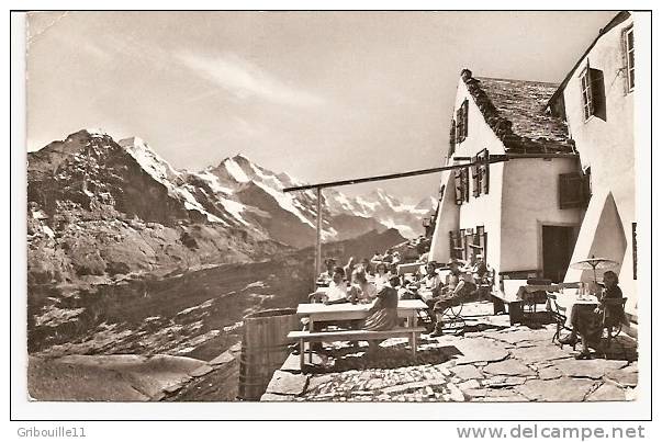 GRINDELWALD   -   HOTEL "FAULHORN " 2683m  -  P. ALMER - STEURI   -    Editeur : Photo E.GYGER De Adelboden   N° 18388 - Adelboden