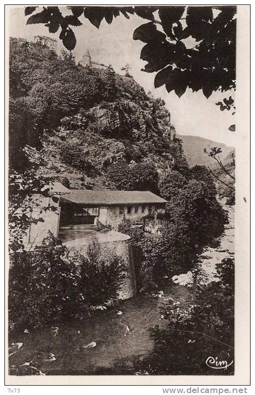 CpE2895 - MAZAMET - Chateau De Montlédier - La Gorge Du Larn - (81 - Tarn) - Mazamet