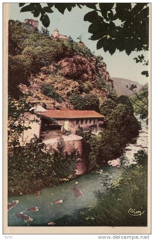 CpE2896 - MAZAMET - Chateau De Montlédier - La Gorge Du Larn - (81 - Tarn) - Mazamet