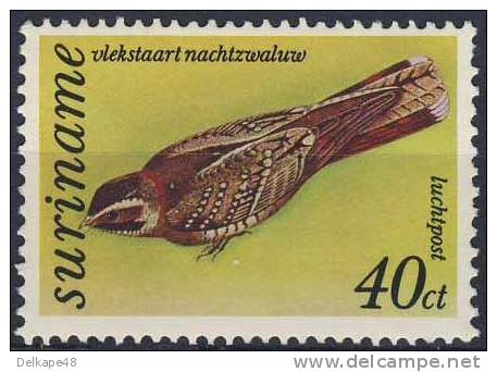 Suriname 1977 Mi 782 Aero ** Caprimulgus Maculicaudus: Spot-tailed Nightjar / Fleckenschwanz-Nachtschwa Lbe - Hirondelles