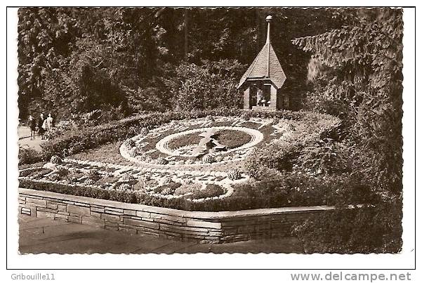 INTERLAKEN   -   ** KURSAAL  BLUMENUHR **     -    Edition : SCHILD - BICHSEL De Brienz    N° 1115 - Brienz