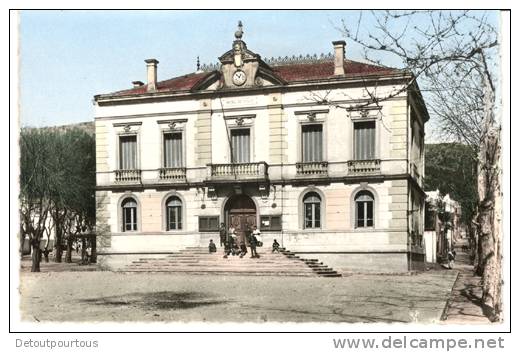 TIZI OUZOU Hotel De Ville ( Animée  Personnages ) - Tizi Ouzou