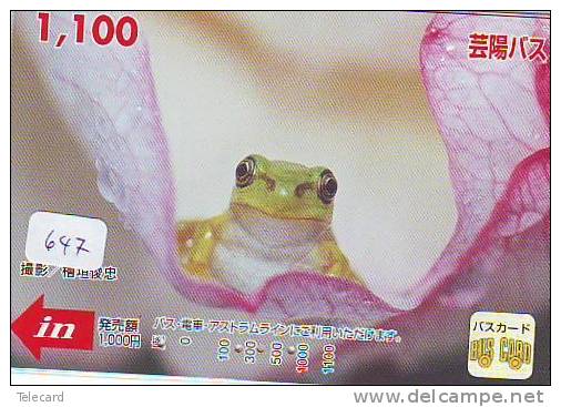 Telefonkarte Telecarte GRENOUILLE Frog FROSCH Kikker (647) - Egypt