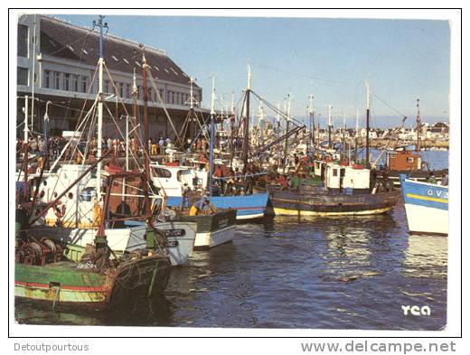 GUILVINEC Bateaux De Pêche à Quai Devant La Criée 1985 - Guilvinec