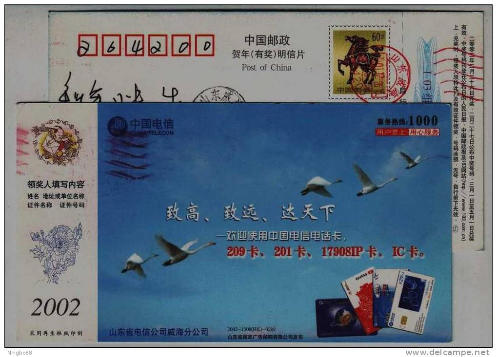 Swan Bird,China 2002 Shandong Telecom Phonecards Business Advertising Pre-stamped Card - Cisnes