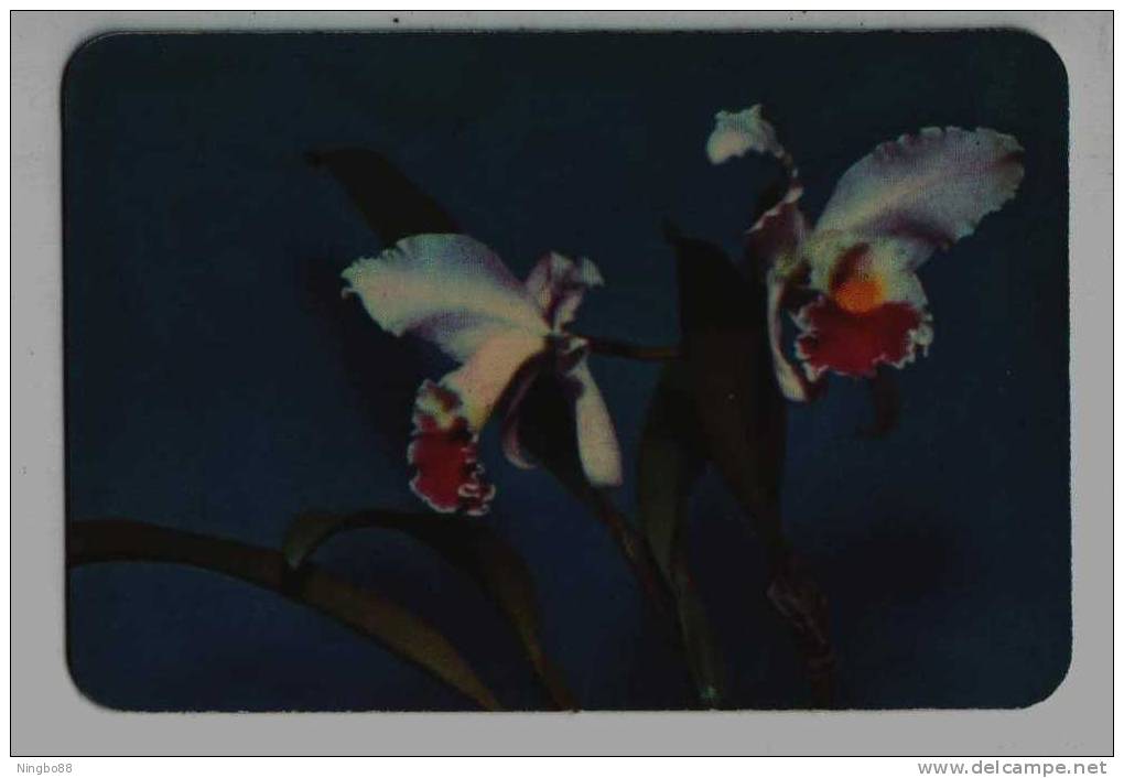 China 1976 Rare Orchid Printed Calendar Card,size Is About 90 Mm X 62 Mm - Otros & Sin Clasificación