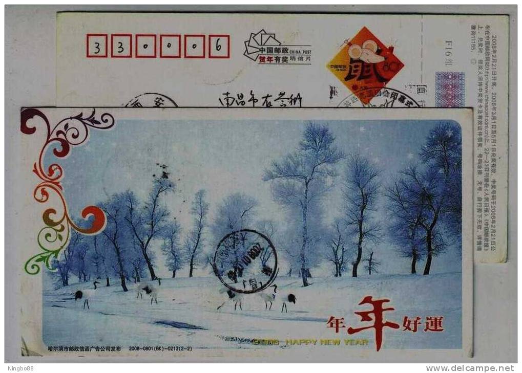 Red-crowned Crane Bird In Snowland,China 2008 Harbin Post Office Advertising Pre-stamped Card - Kranichvögel