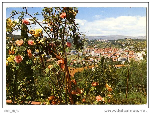 {33450} 06 Alpes Maritimes Vallauris , Vue Générale - Vallauris