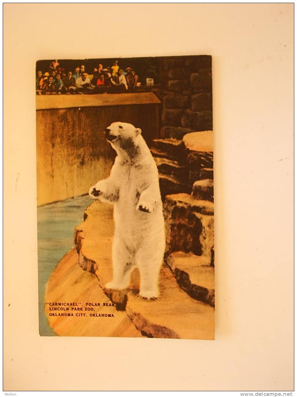 Carmichael - Polar  Bear - Lincoln Park Zoo Oklahoma City  Cca 1930-40´s  - VF  D35748 - Ours