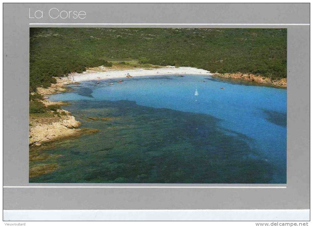 CPSM.   LA CORSE. DATEE 1987 - Corse