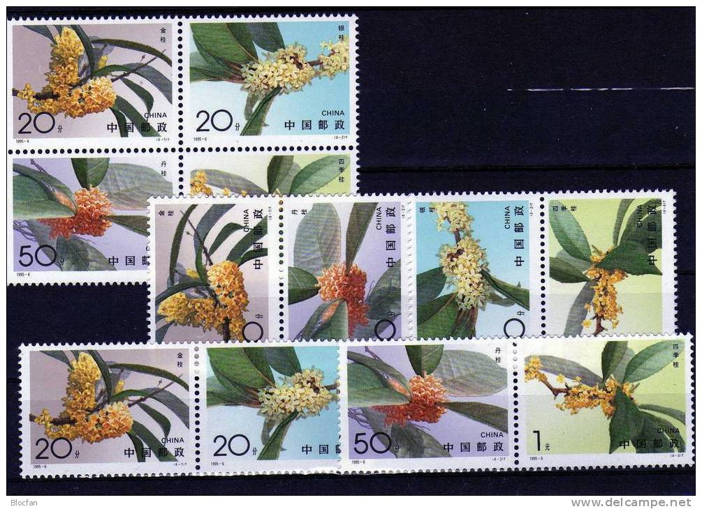 Blüte 1995 Peking China 2600/3 4x ZD+VB ** 20€ ZD-Varianten Blütenstände Osmanthus Fragans Bloque EXPO Se-tenant Bf CINA - Collections, Lots & Series